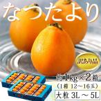  локва .. Nagasaki префектура производство ..... товар с некоторыми замечаниями крупный 3~5L примерно 1kg×2 коробка (1 коробка :12~16 шар входить ) бесплатная доставка * рефрижератор 