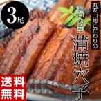 Yahoo! Yahoo!ショッピング(ヤフー ショッピング)《送料無料》瀬戸内産　蒲焼穴子　1尾約100ｇ前後×3袋※冷凍 sea 〇