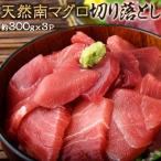 ミナミマグロ　送料無料　築地市場　卸の社食　天然南マグロ　切り落とし　約300g×3パック 豊洲市場 ※冷凍