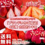 いちご イチゴ いちご福袋 4品種4パック 合計約1kg 送料無料 （あまおう きらぴ香 スカイベリー いちごさん） ※冷蔵