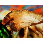  Okinawa кулинария . магазин .... рагу рафуте примерно 200g * рефрижератор прямая поставка от производителя рефрижератор включение в покупку не возможно бесплатная доставка 