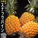 [ снэки сосна ] Okinawa префектура производство сосна Apple примерно 800g×3 шар итого примерно 2.4kg * рефрижератор бесплатная доставка 