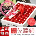 遅れてごめんね　母の日ギフト　山形県産 温室さくらんぼ「佐藤錦」 秀品　大粒（L〜2L）　約300g 化粧箱　産地直送　送料無料　※カーネーション・カード付き