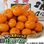 糖度12度以上 小玉 味ロマン 長崎県産みかん 2S〜S 約10kg 産地箱 外皮に傷あり ※常温 JA長崎せいひ 送料無料