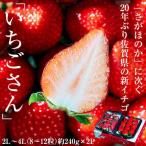 『いちごさん』 佐賀県産 いちご 2L〜4L （8〜12粒）約240g×2パック ※冷蔵 送料無料