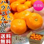 柑橘 みかん 佐賀県産 JAからつ 小玉みかん 2〜3Sサイズ 約1.2キロ 化粧箱 送料無料