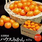 ハウスみかん 佐賀県産 JAからつ 約2kg(目安として45〜64玉) 超小玉 3〜4S 簡易包装 ※常温 送料無料 みかん