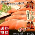 { бесплатная доставка } Hokkaido из прямая поставка * сырой ~ час лосось внизу отделка завершено 1 хвост (2.5kg) * рефрижератор sea *