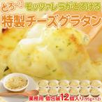 motsarela..... Special производства сыр колерование 95g×12 шт * рефрижератор 