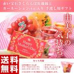 《送料無料》大切なお母様に感謝の気持ちを直接贈ろう！　生花カーネーション＆メッセージカード付　フルーツセット「由美子の気持ち」　☆