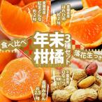 『年末柑橘3種セット落花生つき』計約6.5kg(紅まどんな2kg・はれひめ2kg・長崎みかん2.5kg・Qなっつ1袋) 送料無料