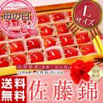 まだ間に合う　母の日 ギフト 2017 フルーツ さくらんぼ 山形県産「さくらんぼ佐藤錦」 Lサイズ 化粧箱 カーネーション（造花） メッセージカード付 送料無料 ☆