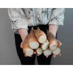  нет выбор другой товар [ побеги бамбука ] Кагосима * Kumamoto * Fukuoka префектура производство примерно 2kg (4-10шт.@). имеется средний ~ маленький размер * рефрижератор бесплатная доставка 