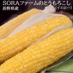 SORA ферма. большой . кукуруза ( желтый ) Nagano префектура производство 10 шт. входит примерно 3.8kg производство земля коробка * рефрижератор бесплатная доставка 