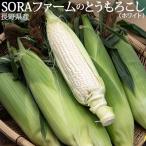 SORA ферма. большой . кукуруза ( белый ) Nagano префектура производство 10 шт. входит примерно 3.8kg производство земля коробка * рефрижератор бесплатная доставка 