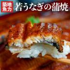 鰻 若うなぎの蒲焼 鹿児島県産 築地魚力 5尾(1尾:130g以上)山椒・たれ付き ※冷凍 うなぎ 築地魚力 送料無料