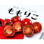 [1 коробка ] сахар раз 10 раз и больше .... помидор Tokushima префектура производство S специальный отбор примерно 1kg(18~24 шар ) несессер способ пакет включено . гора сельское хозяйство .* рефрижератор 
