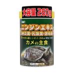 その他熱帯魚、アクアリウム用品