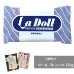 石塑粘土 ラドール プレミックス 120g パジコ 軽量 粘土 図工 粘土 工作 高品質石粉粘土 初心者 初めて 造形 創作人形 フィギュア 篆刻 粘土クラフト