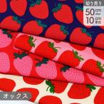 生地 布 オックスプリ�