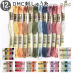刺繍糸 DMC 25番 8m  刺しゅう糸  12本セット DMC 刺繍糸 DMC25-12SET 220419dmc