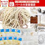 福袋 2026年 手芸 ハンドメイド 材料 セット パール 大容量 ガラス 樹脂 白 キスカ スパンコール 刺しゅう 刺繍 アクセサリー ピアス イヤリング 大量 第二弾