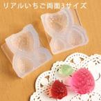 レジン クラフト用 ソフトモールド リアルいちご両面3サイズ 3.5×4.5×D2.5cm