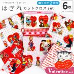 生地 はぎれ 33x50cm 6枚セット タグ 2枚付 カットクロス バレンタイン デザイン