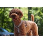 ポイント10倍 【カジュアルシリーズ】フィンランドのドッグブランド【Hurtta】【フルッタ】・Ｙ型クッションハーネス