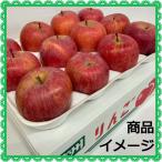 訳あり サンふじ りんご 3kg 長野県産 家庭用 品種おまかせ 産地直送 わけあり 訳アリ リンゴ 林檎  箱入り 国産