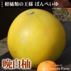 みかん・早生みかん・完熟みかん・はるみ・ポンカン・不知火・はるか 