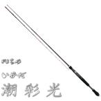 がまかつ がまちぬ いかだ 潮彩光 (ちょうさいこう) 1.35m / gamakatsu
