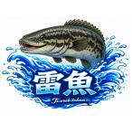 釣りステッカー 雷魚 (ライギョ) Mサイズ 約6.5cm TS-