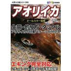 人気つり魚シリーズ２「アオリイカ」
