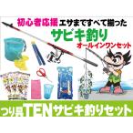 サビキ釣り入門オールインワンセット サビキ竿 リール 仕掛け コマセエサ 他 堤防サビキ釣り初心者応援 全６点直行セット