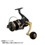 ダイワ 23 BG SW 8000-H