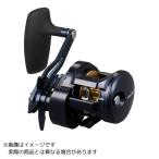 ダイワ 25ソルティガ 300