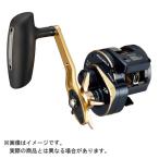 DAIWA（釣り） 21 ソルティガIC 300H-SJ 釣り ベイトリール - 最安値 