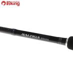  Daiwa saltiga SG 57S-5|6*F/F458200 прекрасный товар hi лама sa campag chi желтохвост jigging рыбалка offshore 