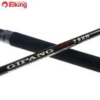  ho tsuji хлеб g. бог 79XH/Q291200hi лама sa campag chi желтохвост тунец GT литье рыбалка offshore 