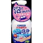  Kobayashi производства лекарство часть искусственный зуб для partial tento.... мойка пена (250ml)