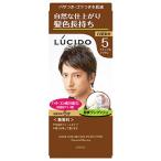 マンダム　ルシード　ワンプッシュケアカラー　5　ナチュラルブラウン　男性用　白髪染め　【医薬部外品】