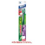 小林製薬 生葉 45°磨きブラシ レギュラーヘッド ふつう (1本) しょうよう 45度磨き 歯ブラシ ハブラシ