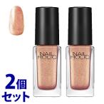 《セット販売》　コーセー ネイルホリック OR213 (5mL)×2個セット ネイルカラー NAILHOLIC