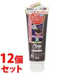 《セット販売》　三宝 テンスター ヘナ カラートリートメント 6 ダークブラウン (250g)×12個セット ヘナトリートメント