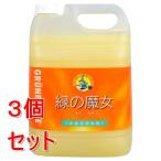 《セット販売》 ミマスクリ−ン   緑の魔女 バス 業務用サイズ (5L)×3個セット 植物系界面活性剤使用 湯アカ 石けんカス 中性タイプ お風呂用洗剤