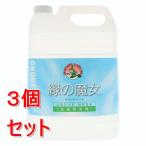 《セット販売》 ミマスクリ−ン   緑の魔女 ランドリー 業務用サイズ (5L)×3個セット ドイツ生まれ 地球にやさしい 蛍光増白剤無配合