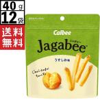 カルビー Jagabee じゃがビー うすしお味 スタンドパウチ 40g×12袋