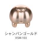 XSM-103 золотистый, цвет шампанского 50ml водный pre Mix краска 
