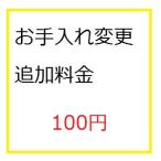  регулировка 100